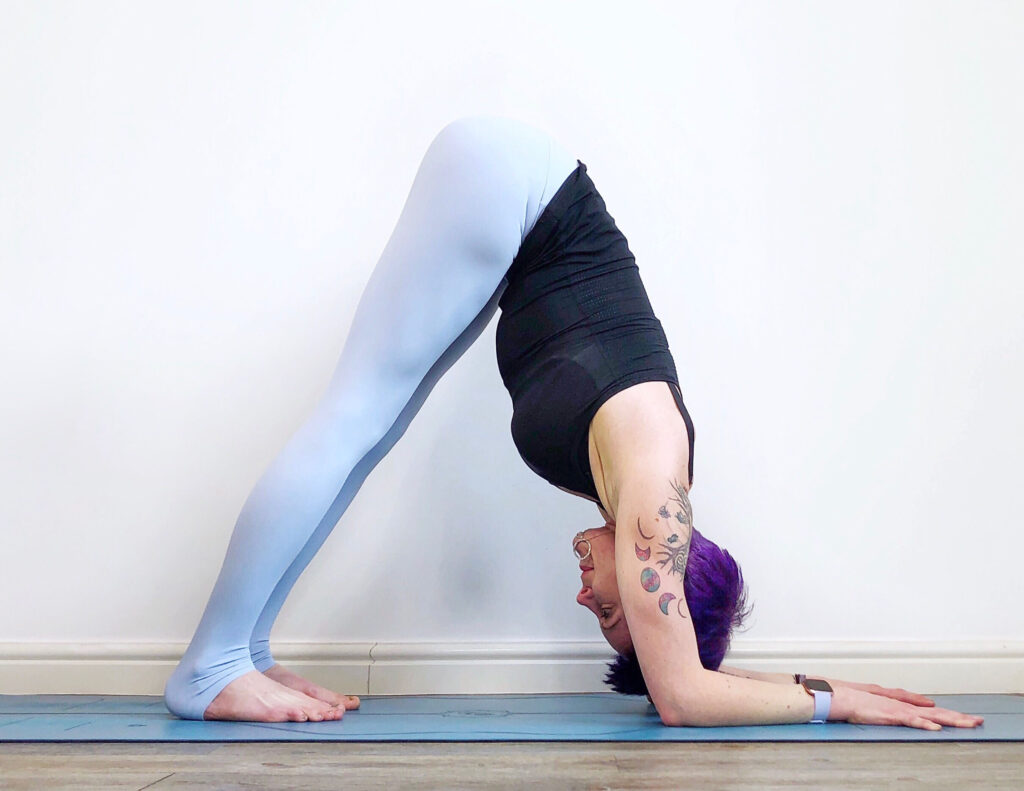 Ardha Pincha Mayurasana – Dolphin Pose